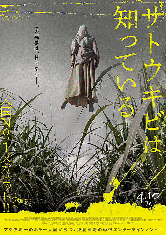 サトウキビは知っている