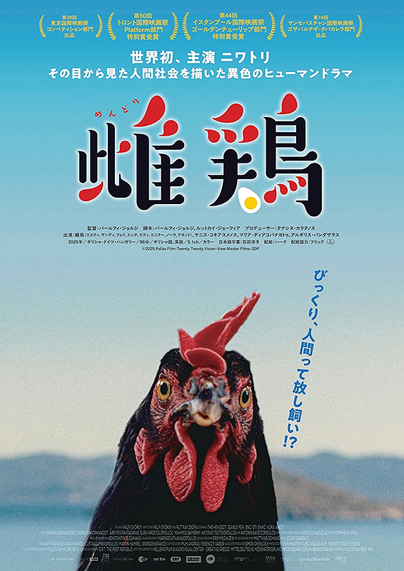雌鶏