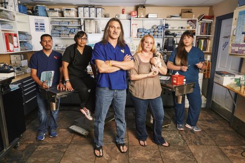 専門チャンネルおためしアワー！(2026年04月)_10